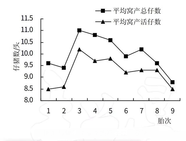 猪好多网