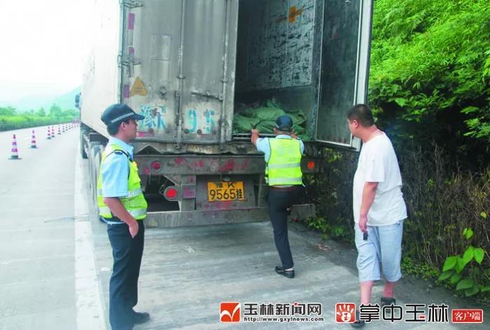 广西玉林：“阴沟翻船”货车不慎侧翻，20吨走私肉意外曝光来自印度！