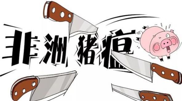 国内非洲猪瘟最新消息，四川省夹江县发生非洲猪瘟疫情！