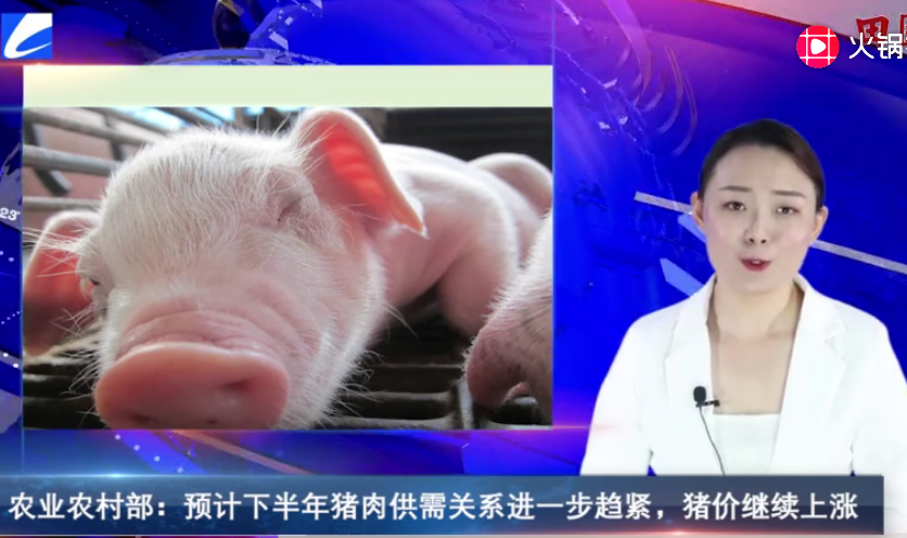 农业农村部：预计下半年猪肉供需关系进一步趋紧，猪价继续上涨