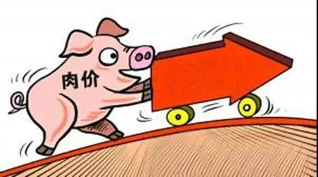 2019年第29周广东省生猪及猪肉价格环比、同比均上涨