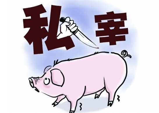 青州开展私屠滥宰专项治理，查获非法调运生猪案4起共计生猪663头
