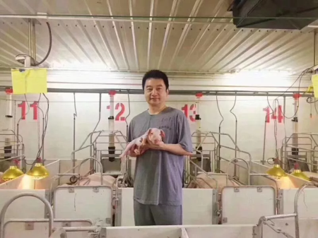 “面向未来中国猪业三十年发展” 青海大力提升生猪生产管理水平