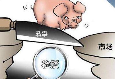 益阳市安化县查获一起私屠滥宰生猪案，扣押10头生猪，抓了9个人