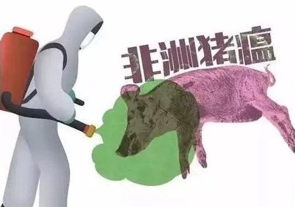 临汾市召开非洲猪瘟防控工作电视电话会议
