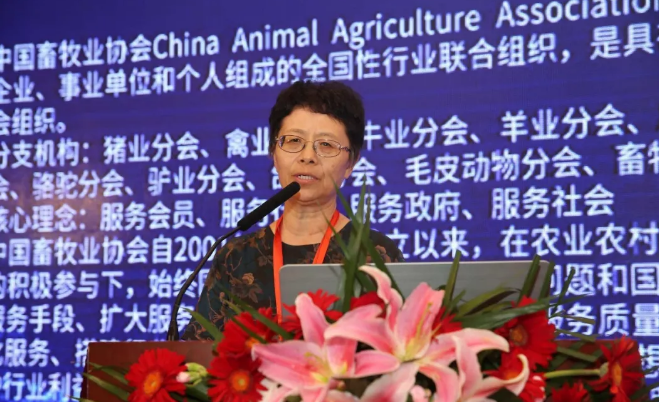 猪好多网