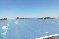 气温飙升猪场问题多？30个细节让猪平稳度过这个夏季