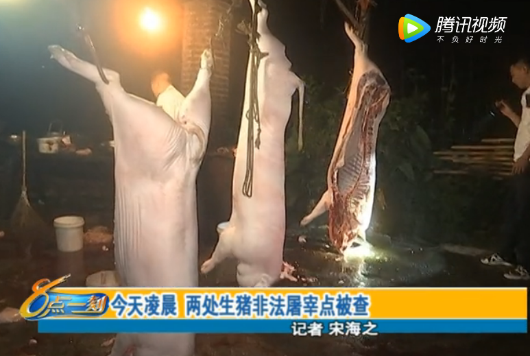 直击查处萍乡非法生猪屠宰点现场：恶臭扑鼻，污水横流