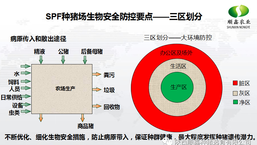 猪好多网