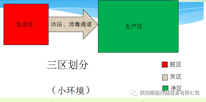 猪好多网