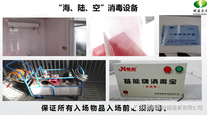 猪好多网