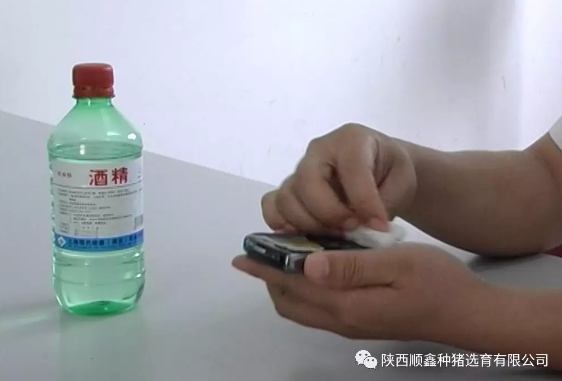 猪好多网
