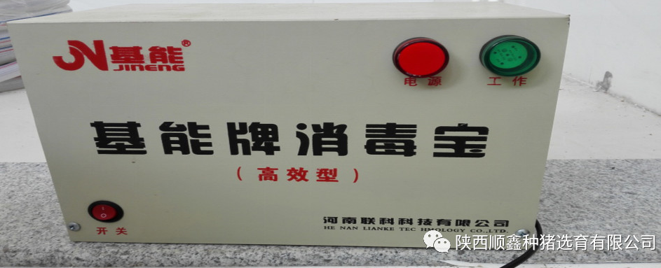 猪好多网