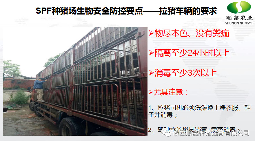 猪好多网