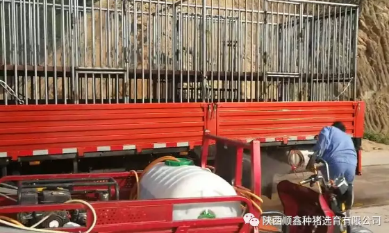 猪好多网
