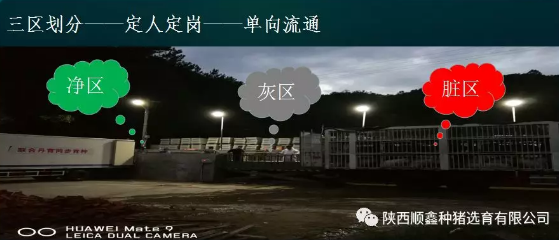 猪好多网