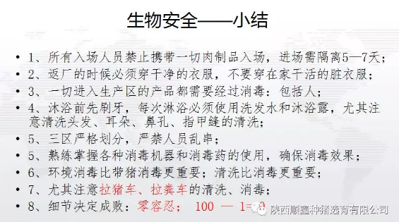 猪好多网