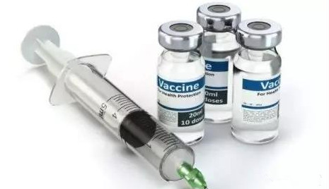 夏季猪场疫苗运输、保存及注射注意事项