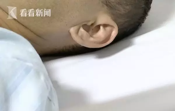 猪好多