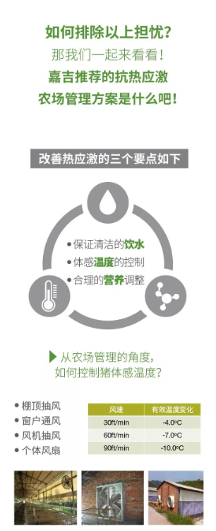 嘉吉抗热应激方案