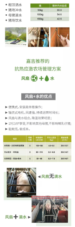 嘉吉热应激方案