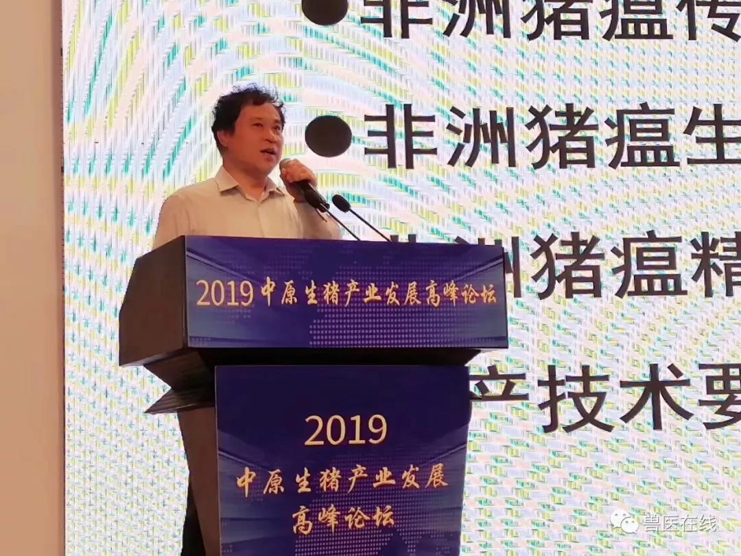 　非洲猪瘟主要传染途径