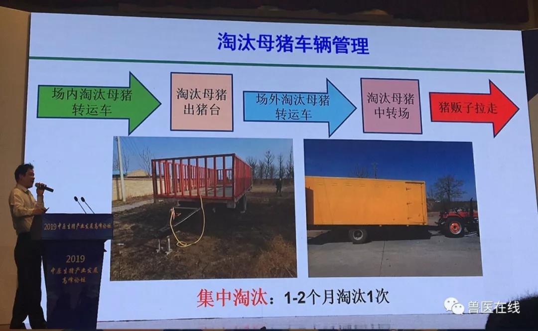 淘汰母猪车辆管理