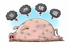 范卫彬：非瘟拔牙论拔牙失败原因！