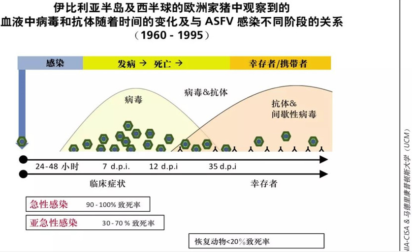 非洲猪瘟病毒存活时间变化