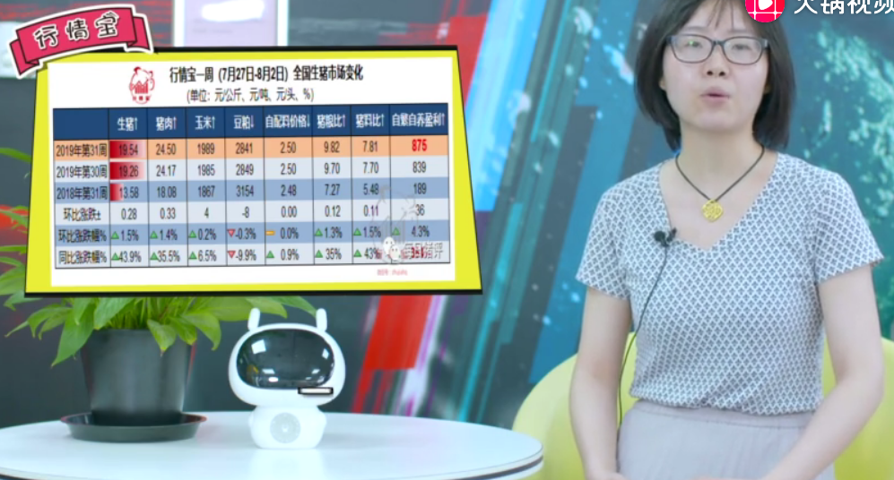 一周行情解读：生猪供给大缺口！猪价下周还得涨！
