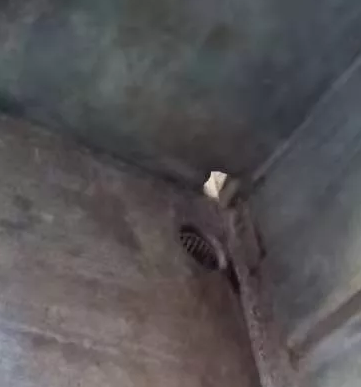 猪场粪道改造