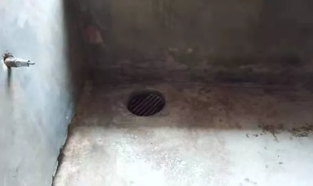 猪场粪道
