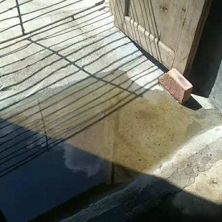 消毒池
