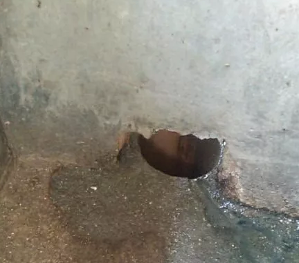 改造后粪道