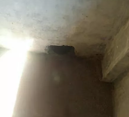 改造后粪道