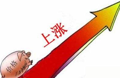 8月11日全国生猪价格表，广东稳居首位，均价冲刺11指日可待！