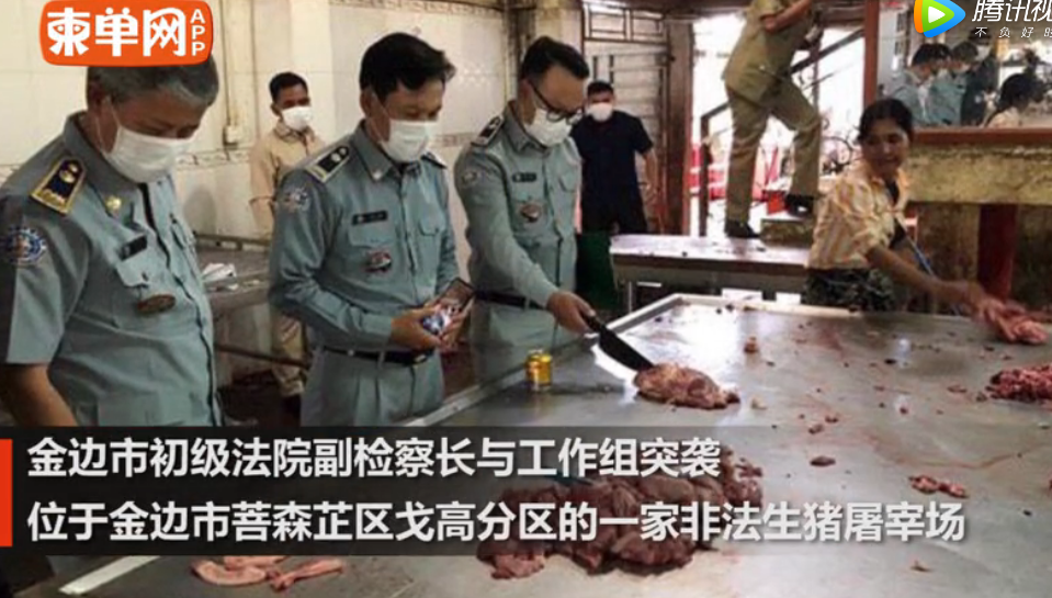 柬埔寨金边政府部门查封一家非法生猪屠宰场