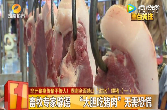  “大胆吃猪肉” 非洲猪瘟传猪不传人！ 湖南全面禁止“泔水”喂猪