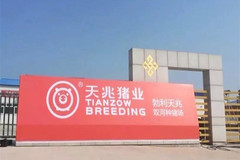 热烈庆祝！天兆猪业勃利县100万头生猪产业扶贫项目顺利完成首次引种！