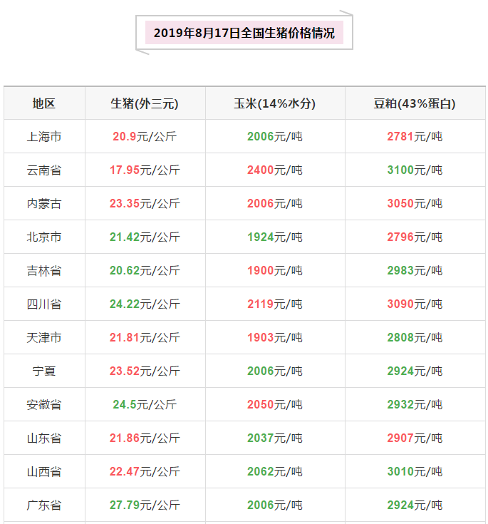 今日猪价