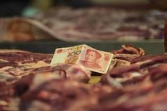 绝不降下“养猪的旗帜”！我们共同目标一起翻身迎高价！