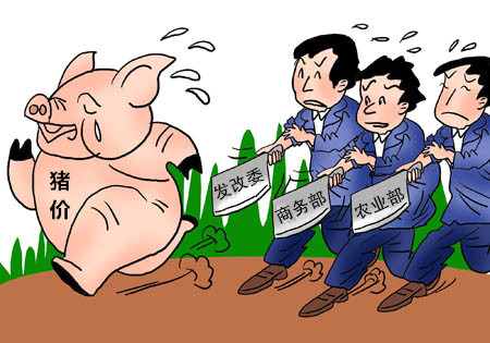 8月22日全国生猪价格涨跌表，猪肉价格上涨过猛，国常会出五招稳猪价！