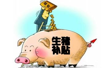 浙江省：年底前购入种猪，有500元/头补贴