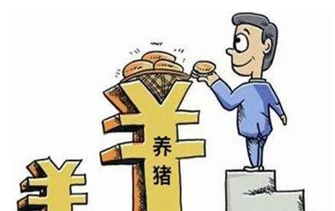 8月27日全国生猪价格继续走高，突破15元/斤，猪价为何还在上涨？