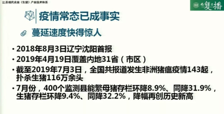 当前生猪生产恢复发展的关键措施