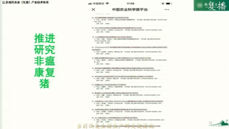 当前生猪生产恢复发展的关键措施