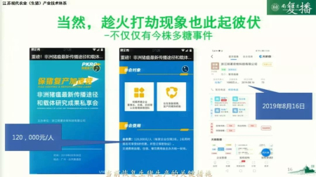 当前生猪生产恢复发展的关键措施