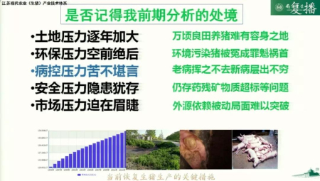 当前生猪生产恢复发展的关键措施