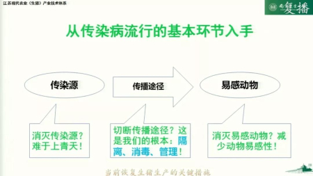 当前生猪生产恢复发展的关键措施