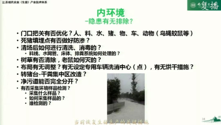 当前生猪生产恢复发展的关键措施